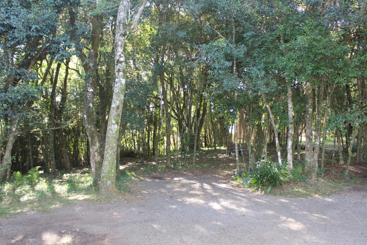 Pousada Floresta Negra Канела Экстерьер фото